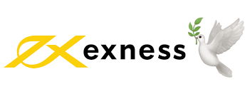 Comprehensive Exness Cent Account Review A Trader's Perspective